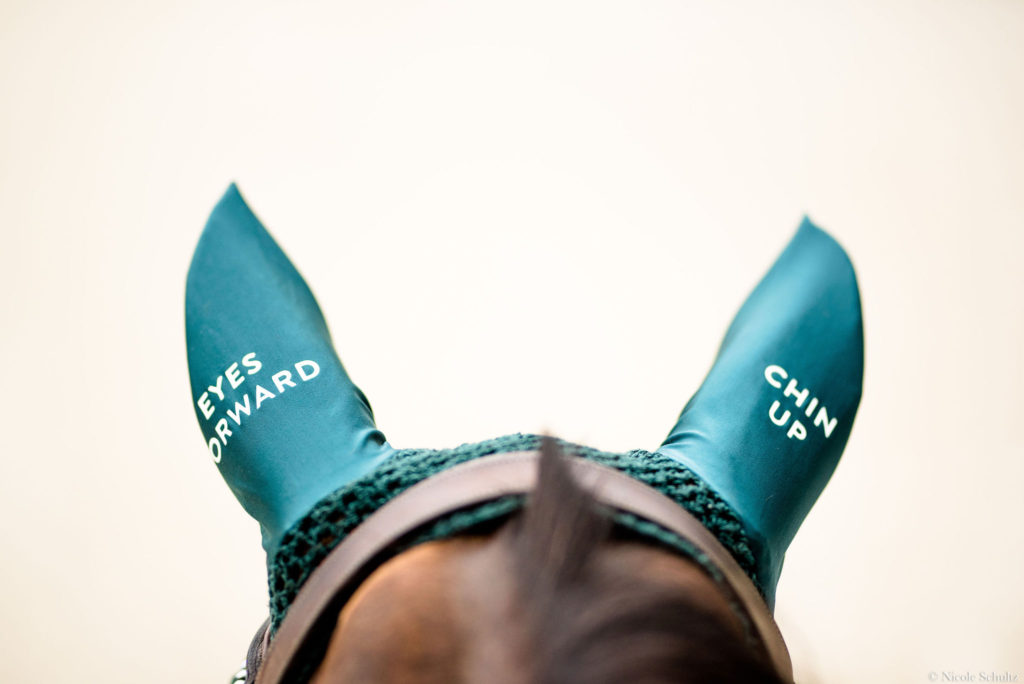 Green-Jump-Mantra-Bonnet-With-Eyes-Forward-Chin-Up-Message-On-Brown-Warmblood-Mare