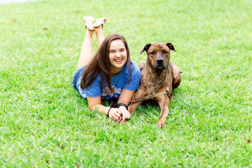 Brindle-Rescue-Dog-Showing-Affection-To-Owner