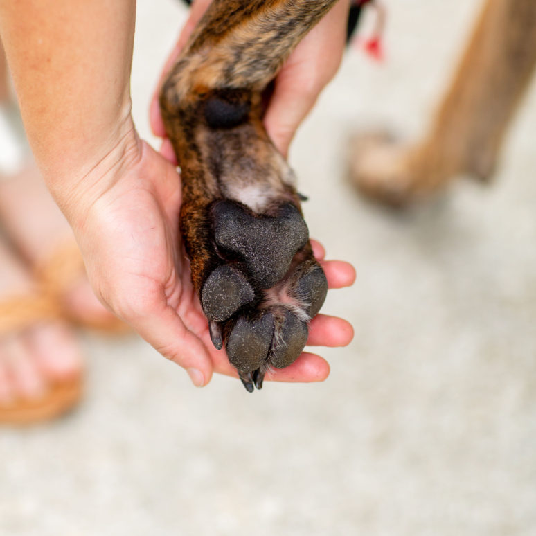 sparkles-and-sunshine-blog