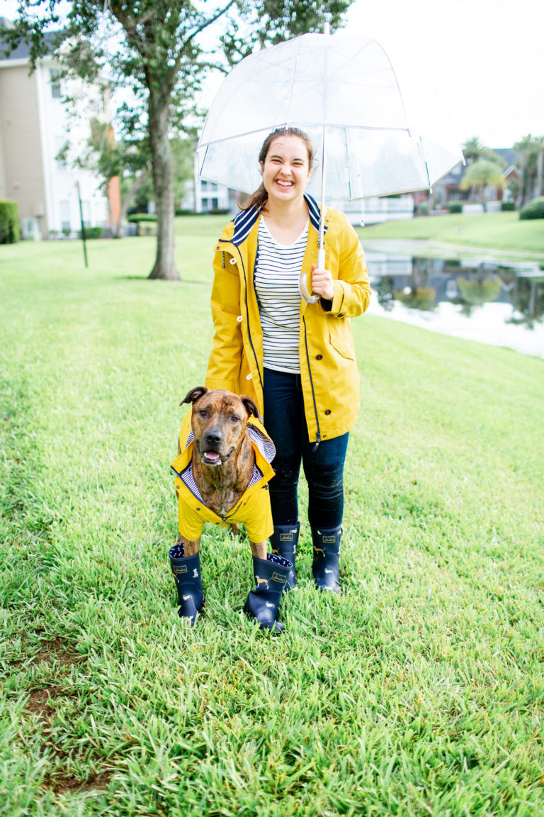 Girl-Wearing-Joules-Yellow-Raincoat-With-Mid-Calf-Blue-Dog-Rainboots-With-Brindle-Dog-Wearing-Yellow-Raincoat-From-amazon-And-Blue-Joules-Rainboots-How-To-Prepare-Your-Pets-For-Hurricane-Season