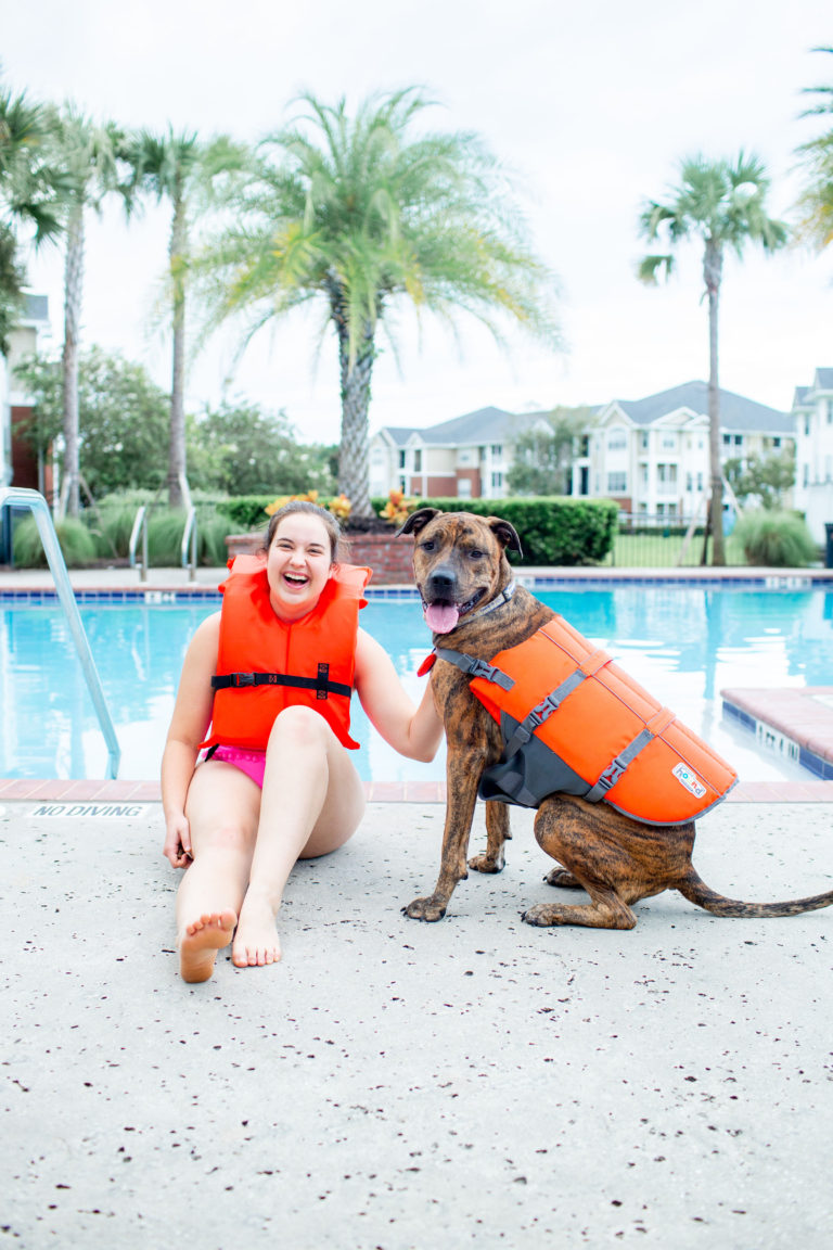 Brindle-Dog-Wearing-Outward-Hound-Dog-Life-Jacket-5-Water-Safety-Tips-For-Dogs