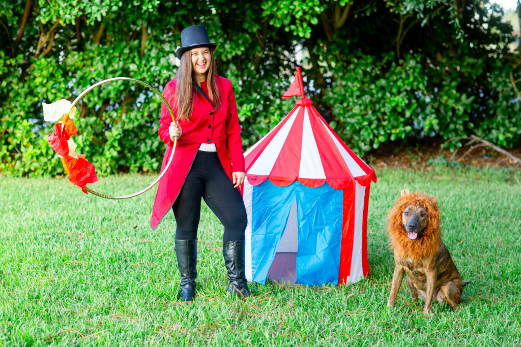 DIY Circus Dog and Owner Halloween Costume
