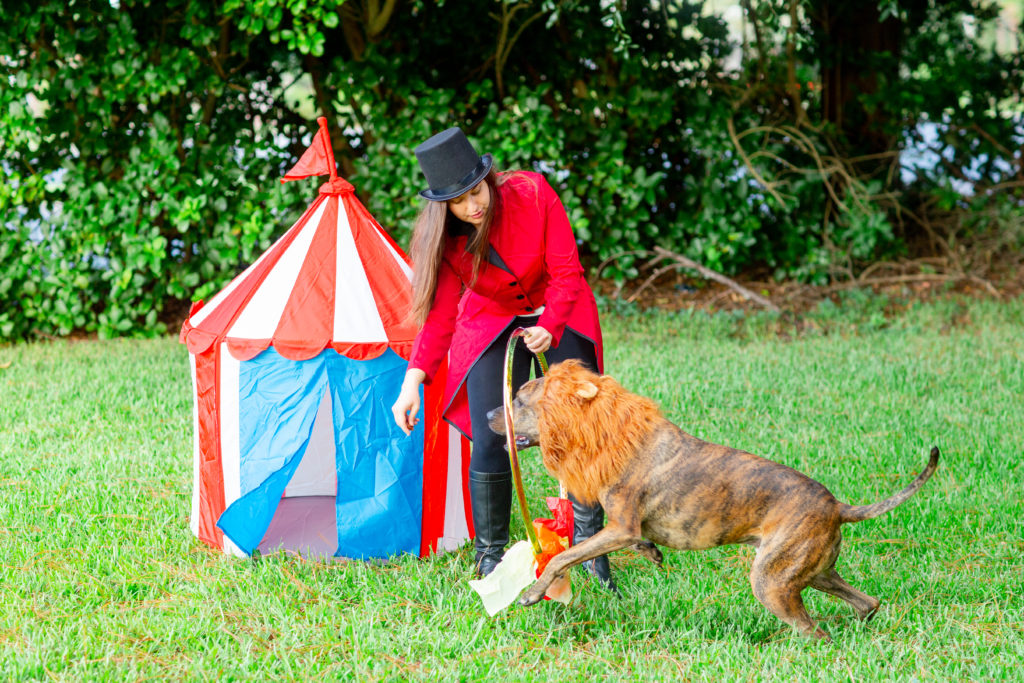 DIY-Halloween-Costume-Dog-Owner-Circus