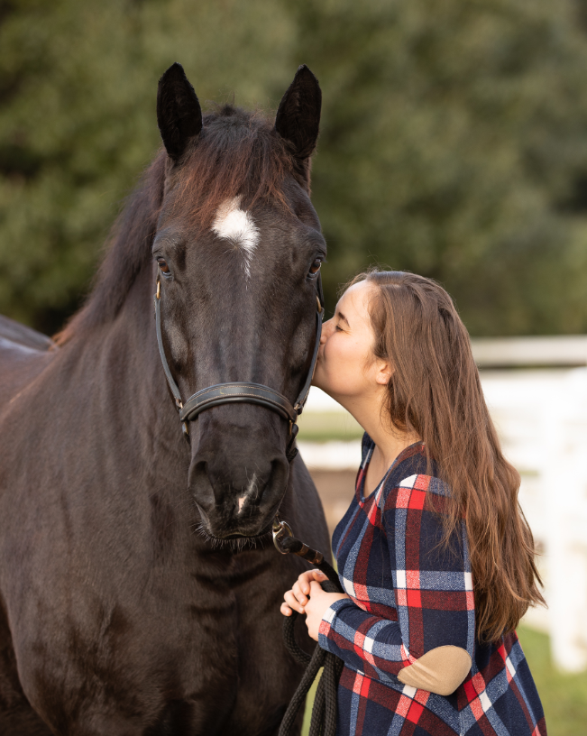 Equestrian-Portrait-Photoshoot-Horse-Rider-Percheron-Cross-Horse