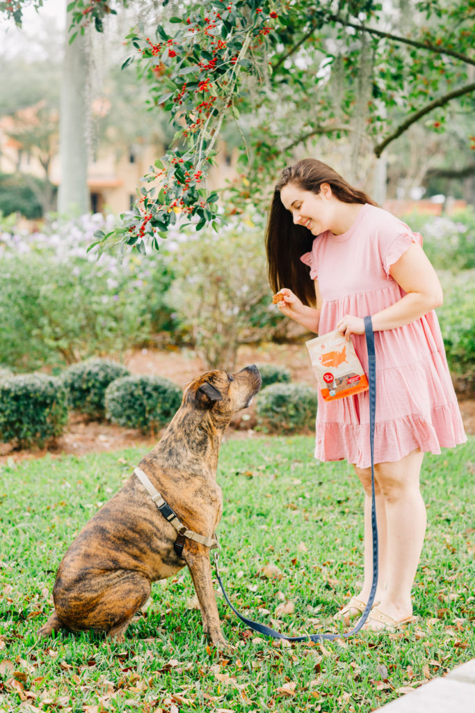 Spot-Farms-Healthy-Dog-Treats-Sparkles-And-Sunshine-Blog-Rescue-Brindle-Dog