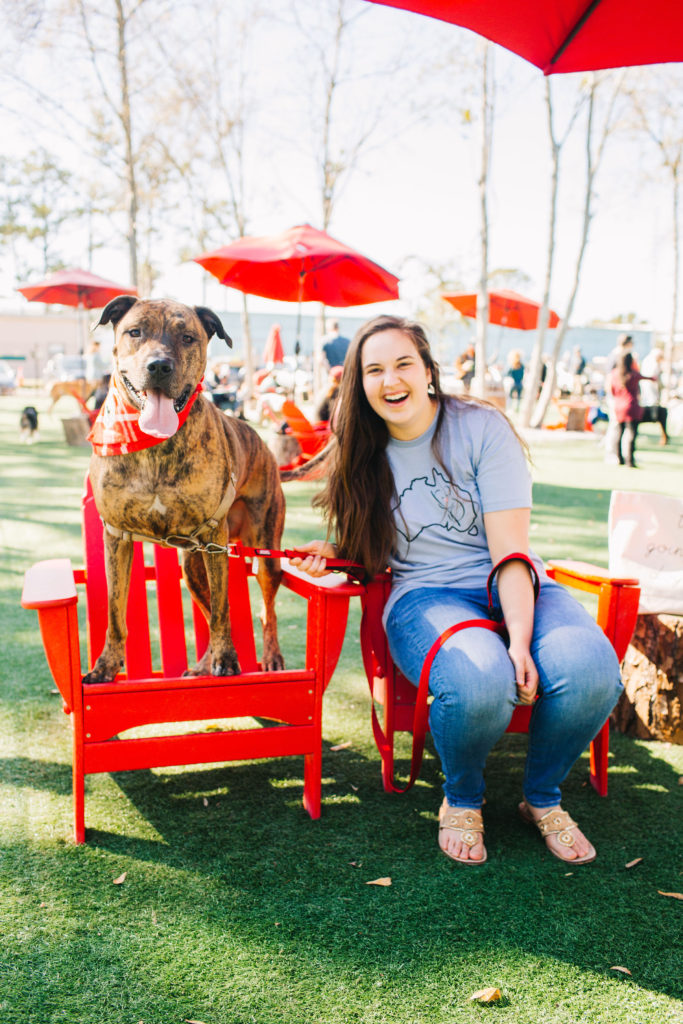 Brewhound-Dog-Park-Bar-Jacksonville-Florida-Sparkles-And-Sunshine-Blog