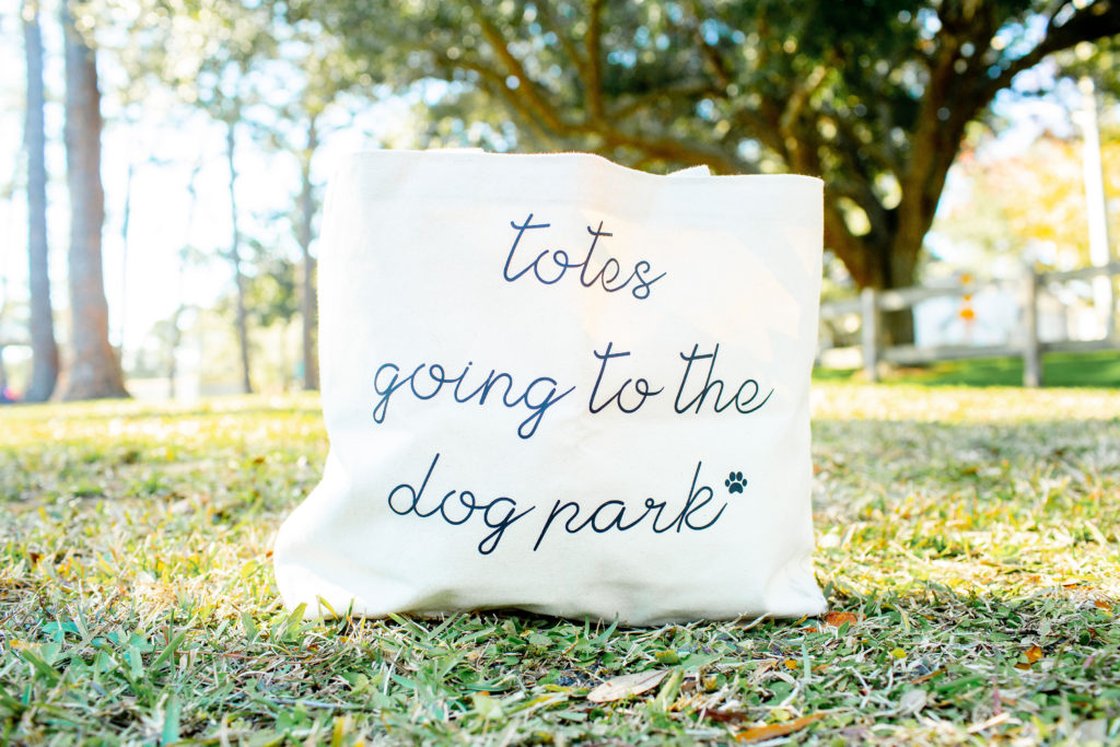 Dog-Park-Tote-Bag-Bubs-Bettys-What-To-Bring-To-The-Dog-Park-Sparkles-And-Sunshine-Blog