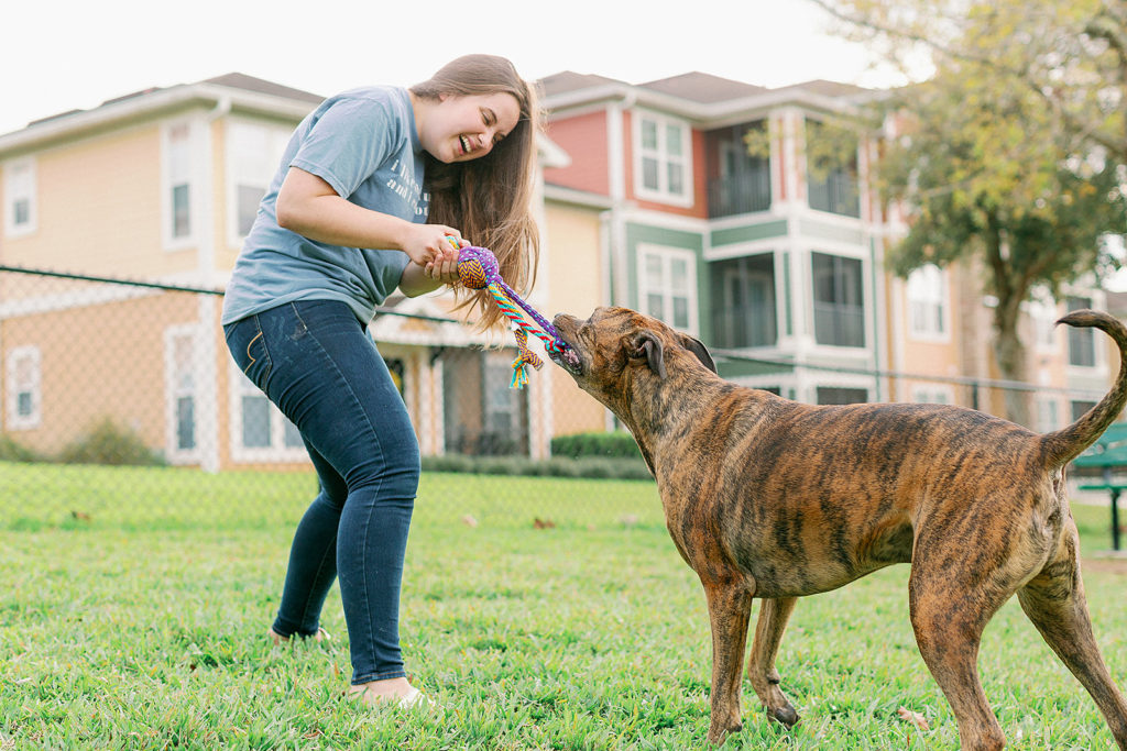 Dog-Tug-Of-War-With-KONG-Wubba-Medley-Dog-Toy