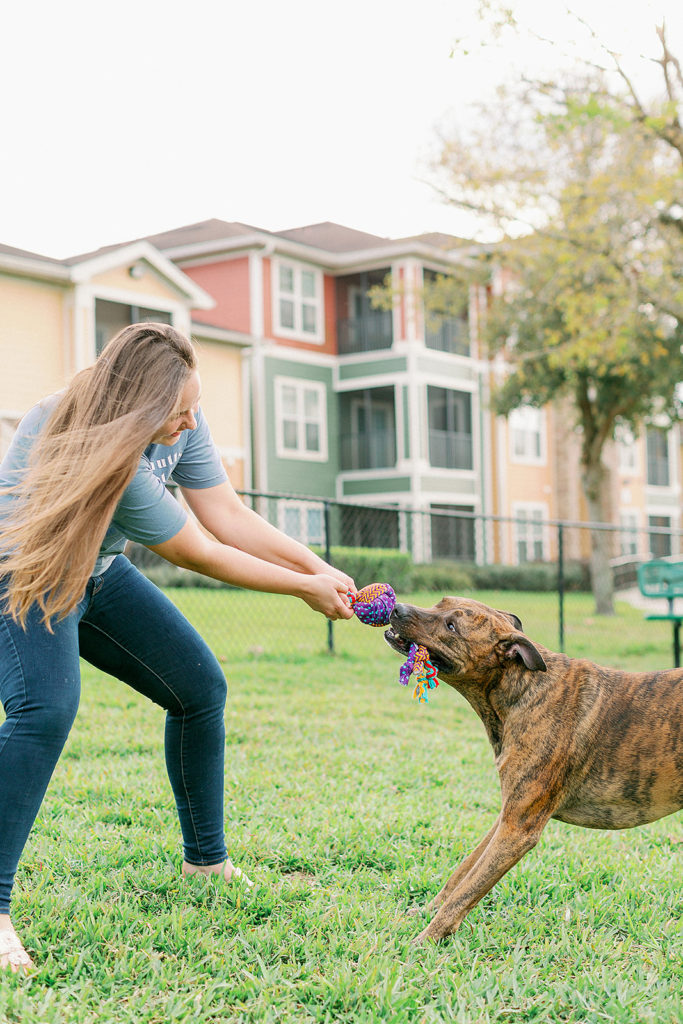 Dog-Tug-Of-War-With-KONG-Wubba-Medley-Dog-Toy