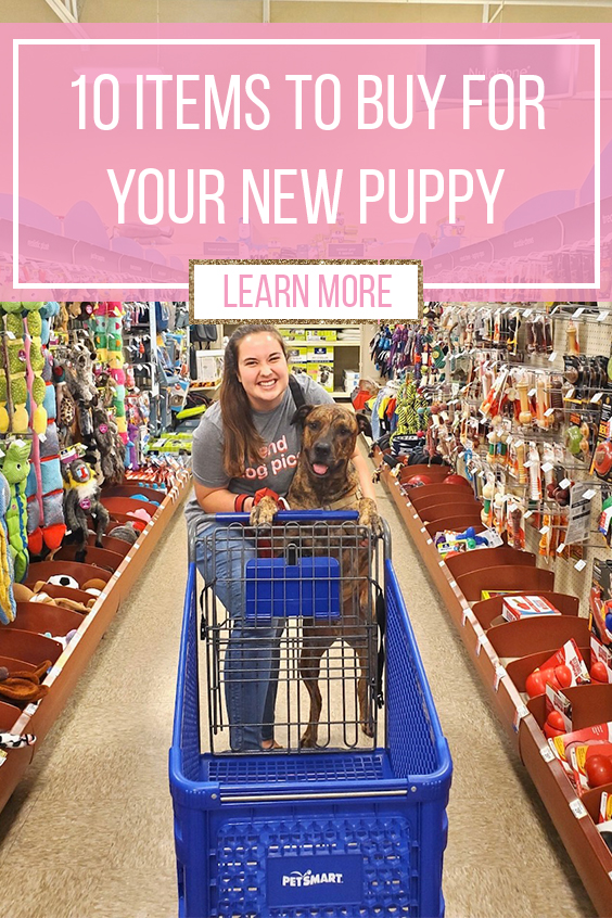 10 items to buy for your new puppy sparkles and sunshine blog new puppy checklist new puppy essentials new puppy tips first puppy tips puppy 101