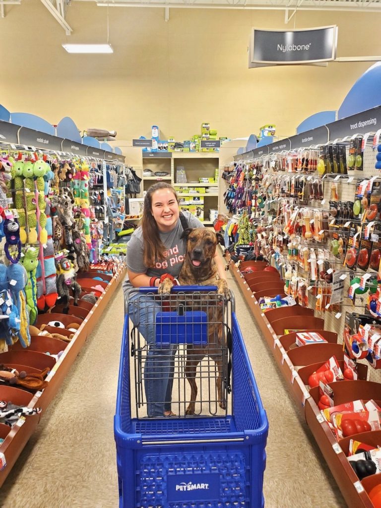 Sparkles-and-Sunshine-Blog-10-Items-To-Buy-For-Your-New-Puppy-Girl-and-brindle-dog-at-petsmart-shopping