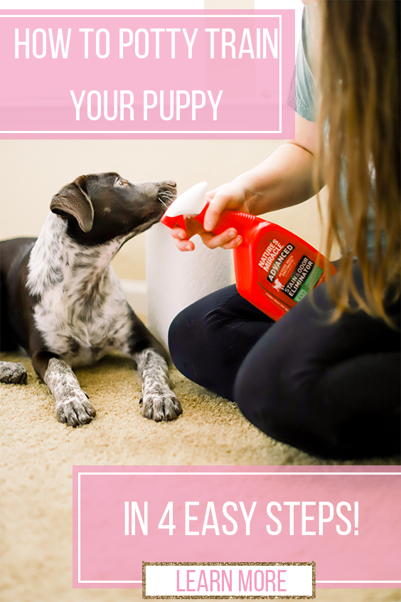 how to potty train a puppy in four easy steps best puppy urine cleaner sparkles and sunshine blog puppy training tips new puppy tips first puppy tips
