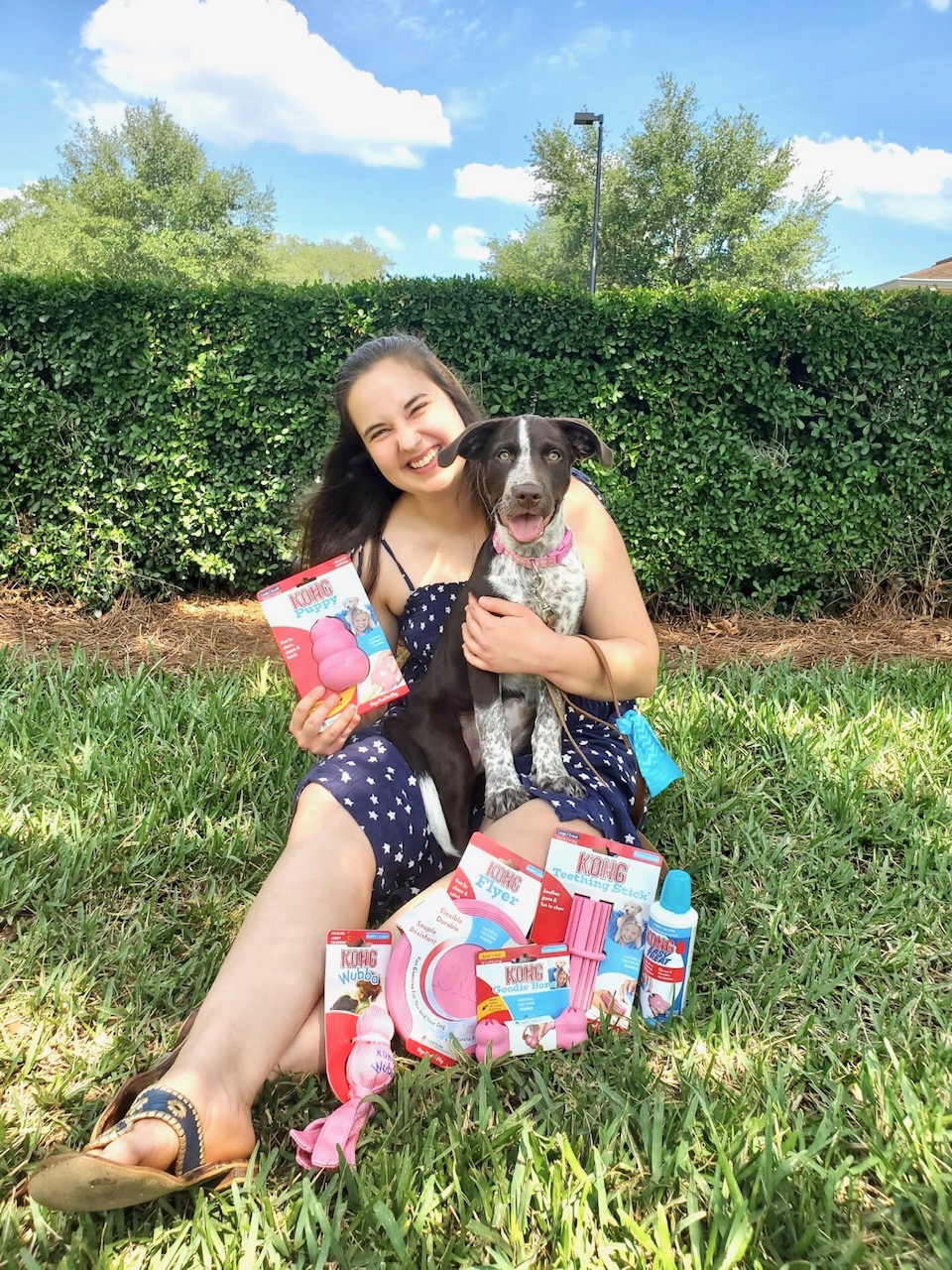 5 KONG Toys For Puppies – Sparkles and Sunshine Blog