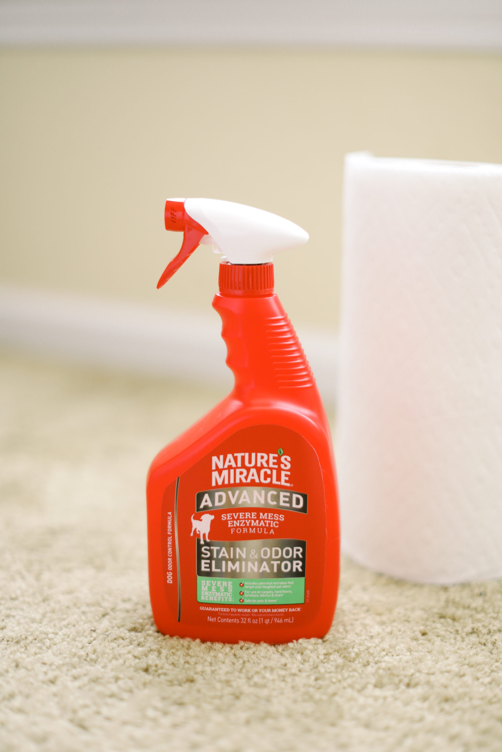 How To Potty Train Your Puppy In 4 Easy Steps + Best Puppy Urine