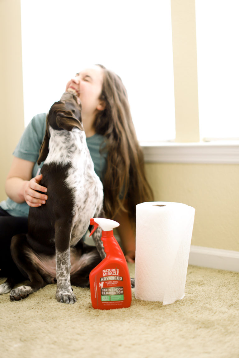 How To Potty Train Your Puppy In 4 Easy Steps + Best Puppy Urine Cleaner