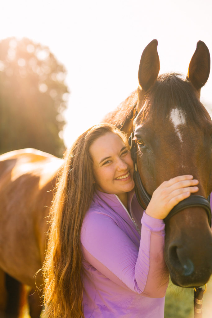 Bay-Warmblood-Gelding-With-Equestrian-Sparkles-And-Sunshine-Blog-About-Page