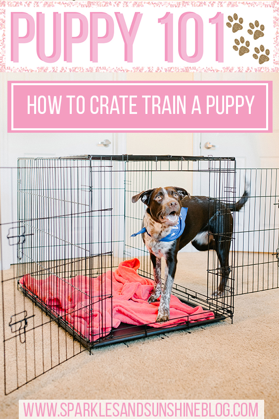 how to crate train a puppy sparkles and sunshine blog first puppy tips new puppy tips puppy training tips puppy 101
