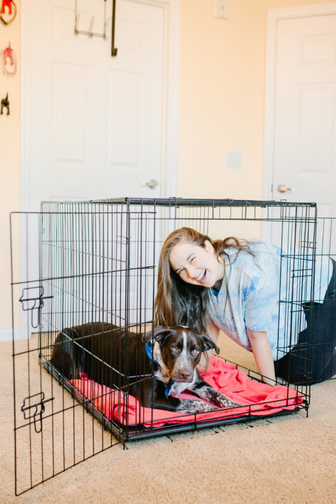 How-To-Crate-Train-A-Puppy-Carlson-Pet-Products-Large-Double-Door-Dog-Crate-German-Shorthaired-Pointer-Puppy-Sparkles-And-Sunshine-Blog
