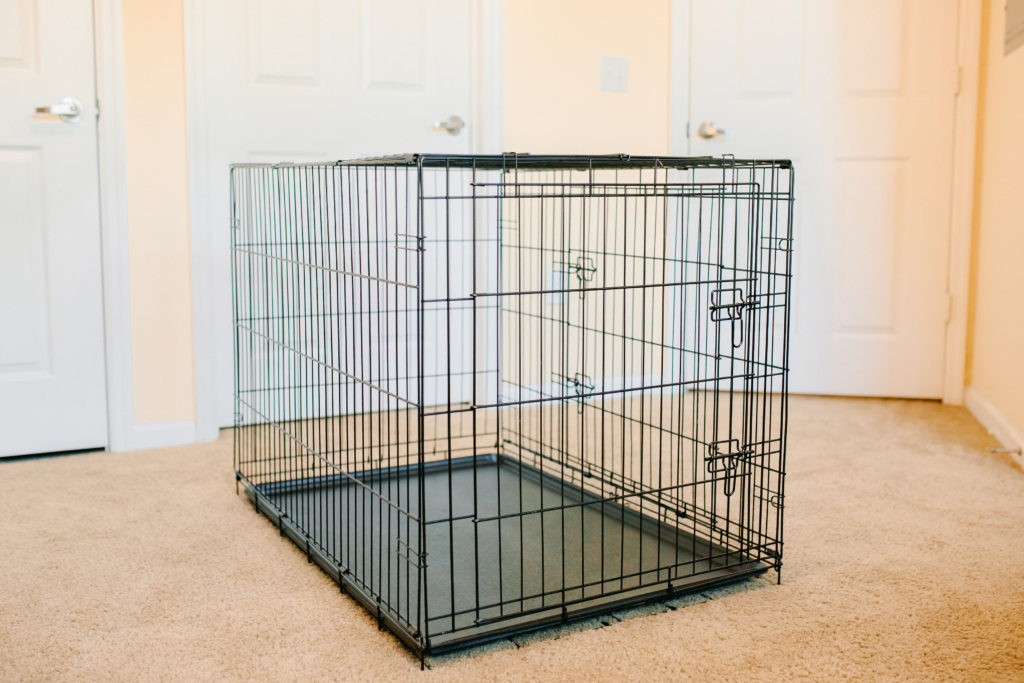 How-To-Crate-Train-A-Puppy-Carlson-Pet-Products-Large-Double-Door-Dog-Crate-Sparkles-And-Sunshine-Blog