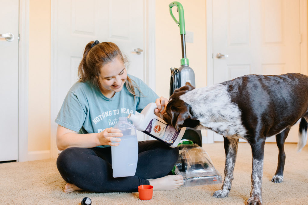 Best-Affordable-Carpet-Cleaner-For-Pets-Bissell-Turboclean-Powerbrush-Pet-Carpet-Cleaner-German-Shorthaired-Pointer-Puppy-Hoover-Paws-Claws-Carpet-Cleaner-Sparkles-And-Sunshine-Blog