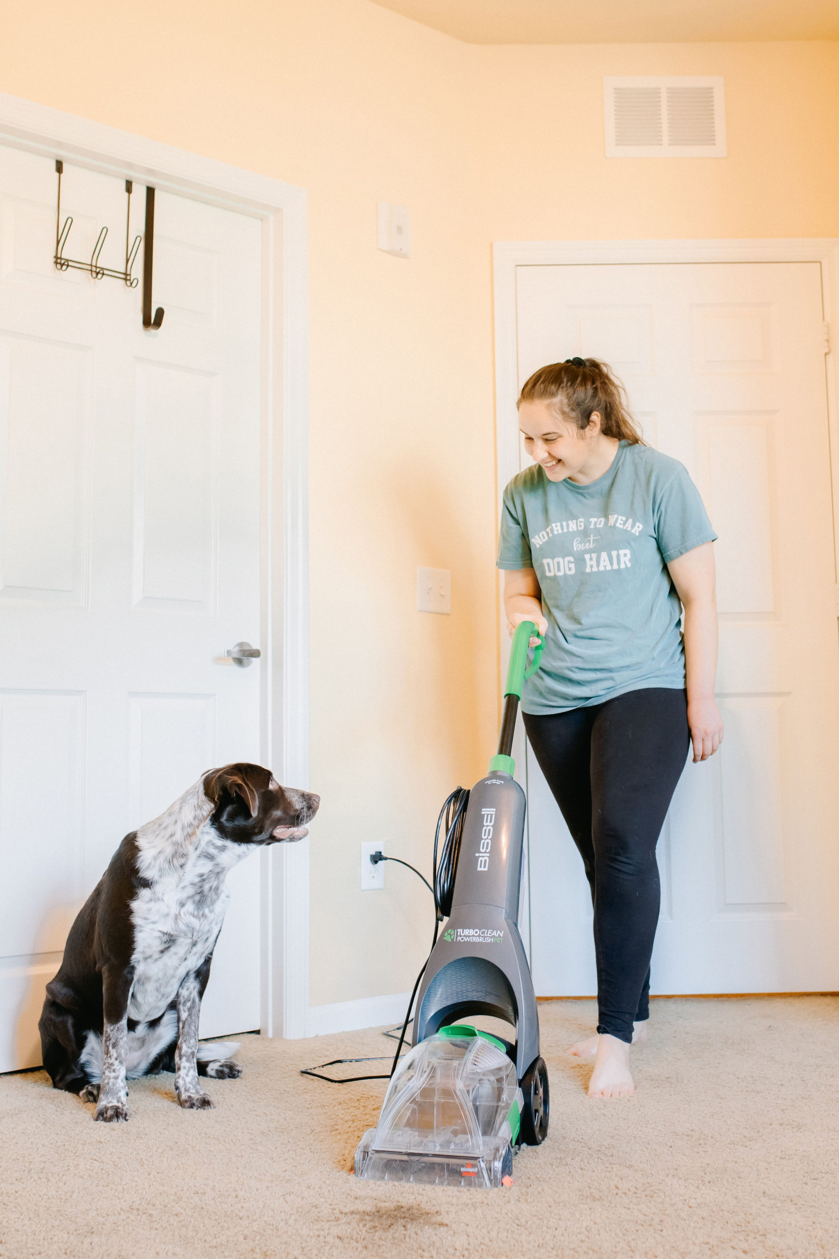 Best Affordable Carpet Cleaner For Pets Sparkles and Sunshine Blog