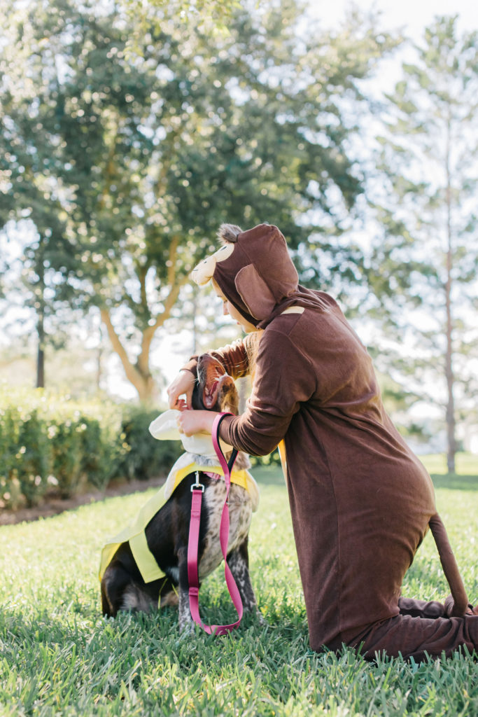 Dog-And-Owner-Halloween-Costume-Banana-Dog-Costume-Monkey-Adult-Costume-Sparkles-And-Sunshine-Blog