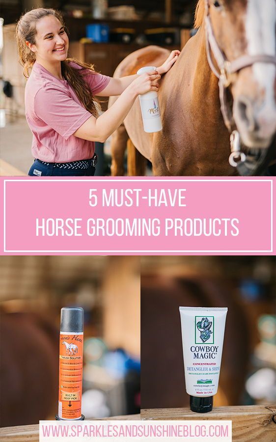 5 must have horse grooming supplies horse care supplies horse care tips sparkles and sunshine blog