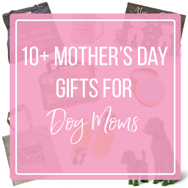 mothers-day-gift-ideas-for-dog-moms-sparkles-and-sunshine-blog-gift-ideas-for-dog-lovers-dog-mom-gifts-gift-ideas-for-dog-moms-new-puppy-parent-gift-ideas