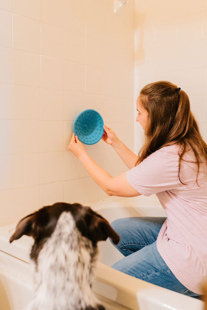 lickimat-splash-review-sparkles-and-sunshine-blog-dog-bathing-essential-dog-grooming-tool-dog-bathing-tool-dog-treat-toy