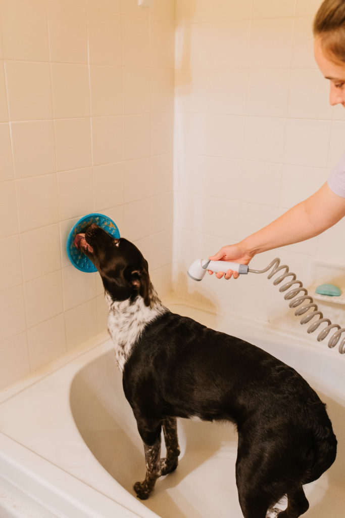 lickimat-splash-review-sparkles-and-sunshine-blog-dog-bathing-essential-dog-grooming-tool-dog-bathing-tool-dog-treat-toy-dog-using-lickimat-splash