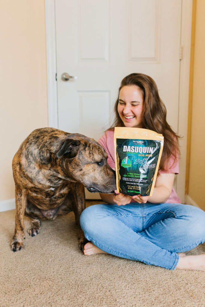 dasuquin soft chews joint supplement for large dogs sparkles and sunshine blog