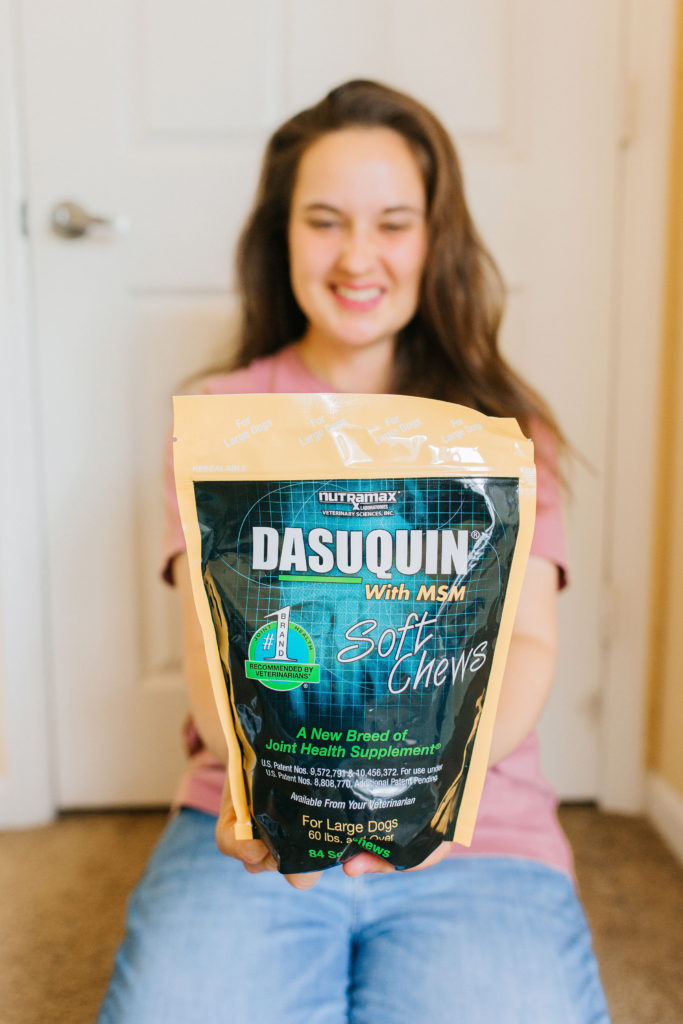 Dasuquin soft chews for large dogs senior dog joint supplement sparkles and sunshine blog dog mom blog