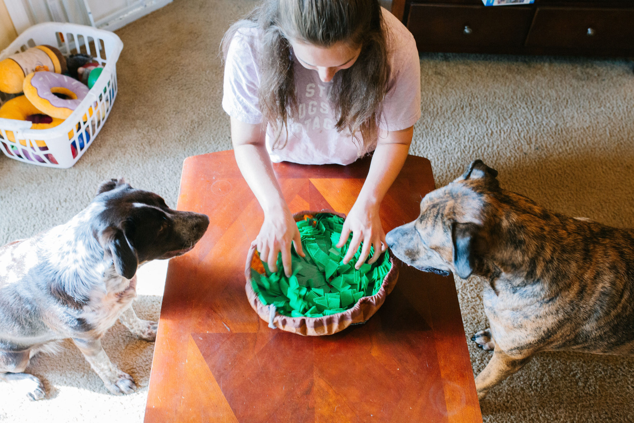 How To Use A Snuffle Mat For Dogs