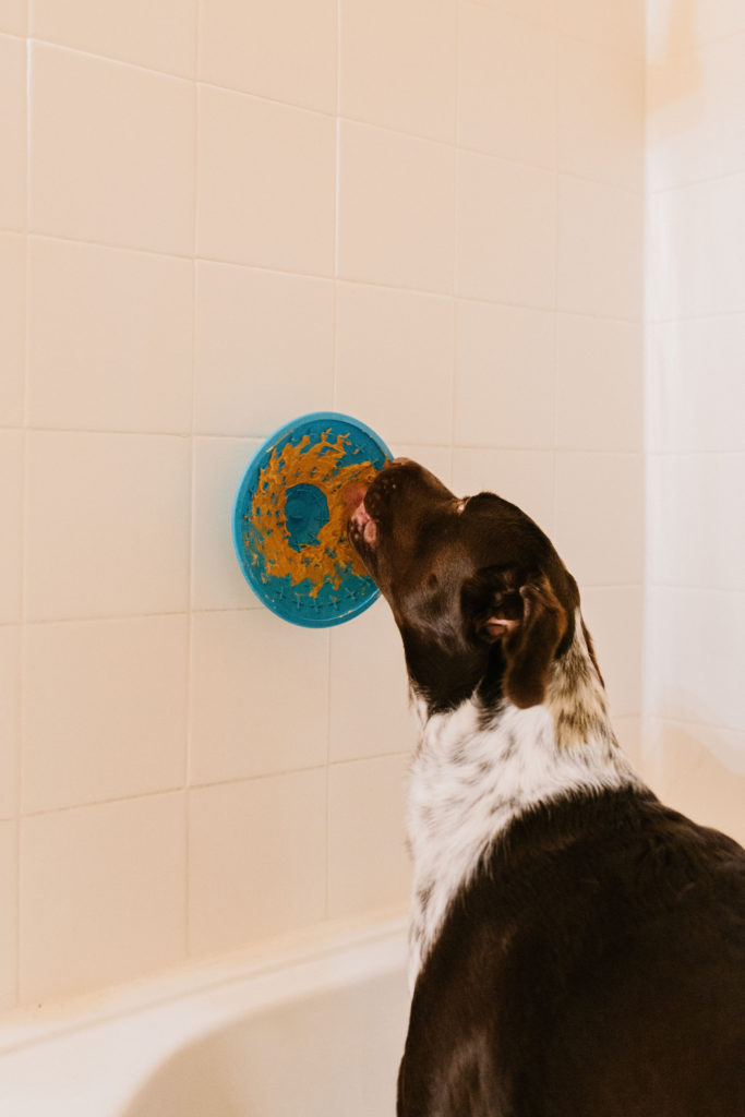 lickimat-splash-review-sparkles-and-sunshine-blog-dog-bathing-essential-dog-grooming-tool-dog-bathing-tool-dog-treat-toy-what-to-put-on-lickimat-splash