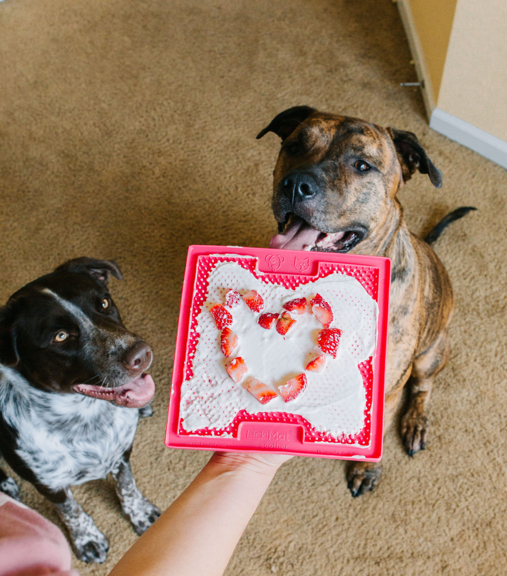 3 Ingredient Yogurt Dog Treat Recipe with Lickimat Soother