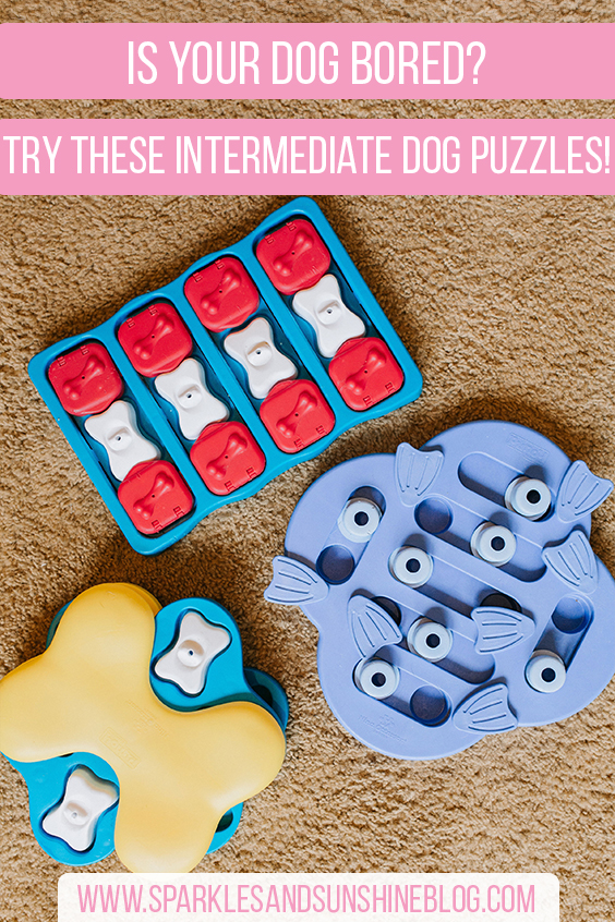 is your dog bored try these intermediate dog puzzles sparkles and sunshine blog nina ottosson dog puzzles level 2 intermediate dog treat puzzles