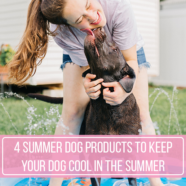 4 Summer Dog Products To Keep Your Dog Cool This Summer