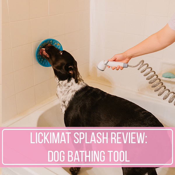 lickimat splash review sparkles and sunshine blog dog bathing tool dog grooming tool licky mats what to put on a lickimat dog lick mats licking mat for dogs