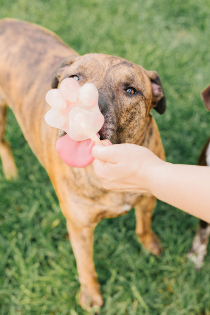 Homemade Frozen Pupsicles (Dog Popsicles) - The Creek Line House