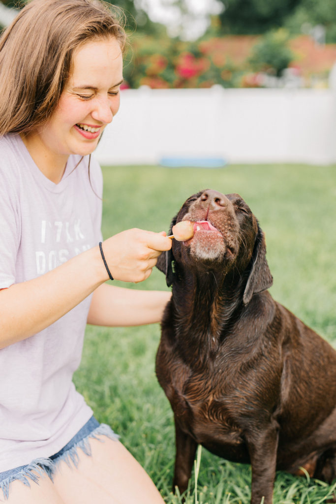 Roxy's Homemade Pupsicles for Dogs – Prairie Naturals