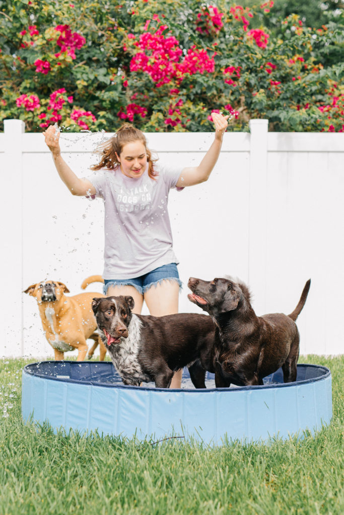 keep your dog cool in the summer with this foldable extra large dog pool sparkles and sunshine blog puncture proof dog pool