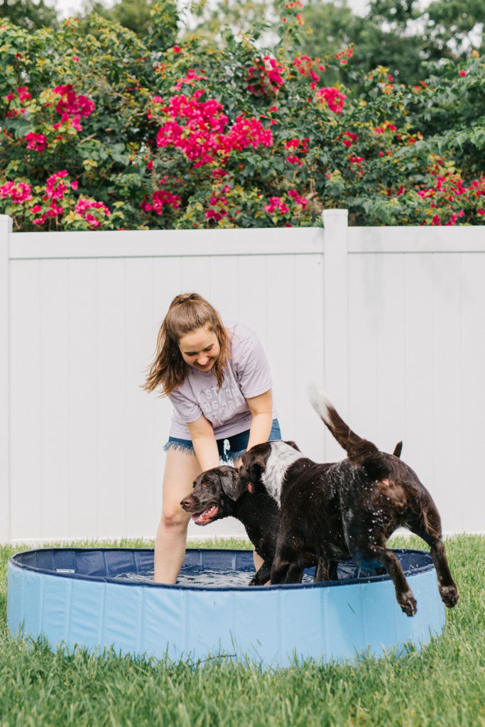 keep your dog cool in the summer with this foldable extra large dog pool sparkles and sunshine blog puncture proof dog pool