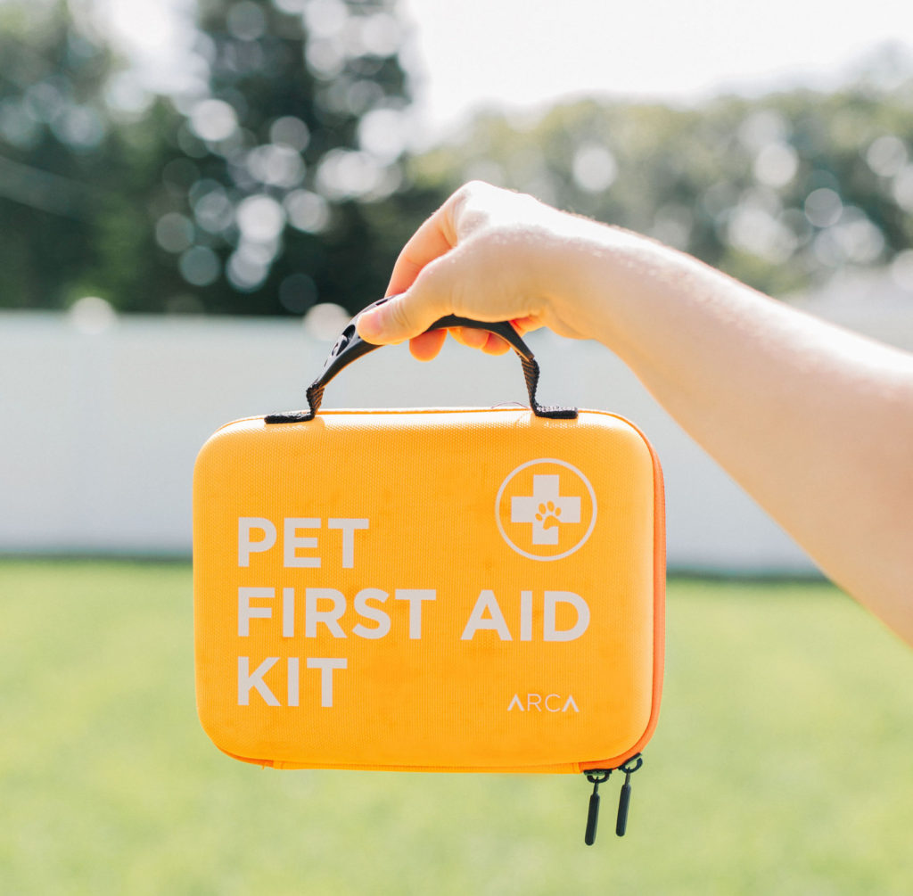 arca pet pet first aid kit sparkles and sunshine blog first aid kit for pets dog first aid kit canine first aid kit