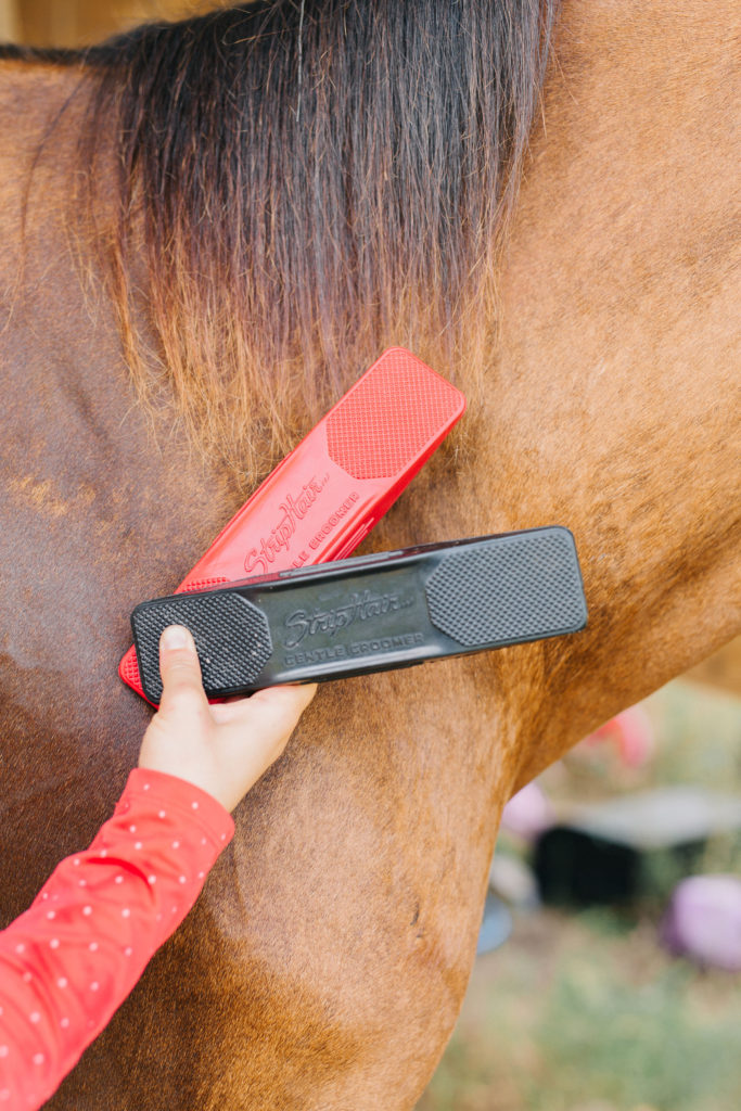 striphair gentle groomer review horse grooming tool sparkles and sunshine blog strip hair horse brush best horse shedding tool horse deshedding tool
