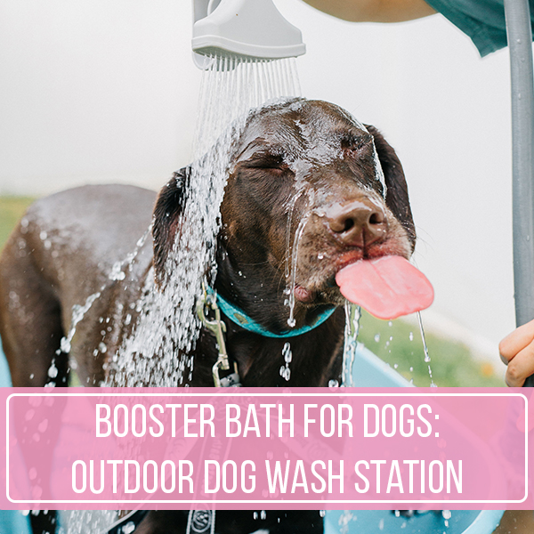 Booster Bath For Dogs: Outdoor Dog Wash Station