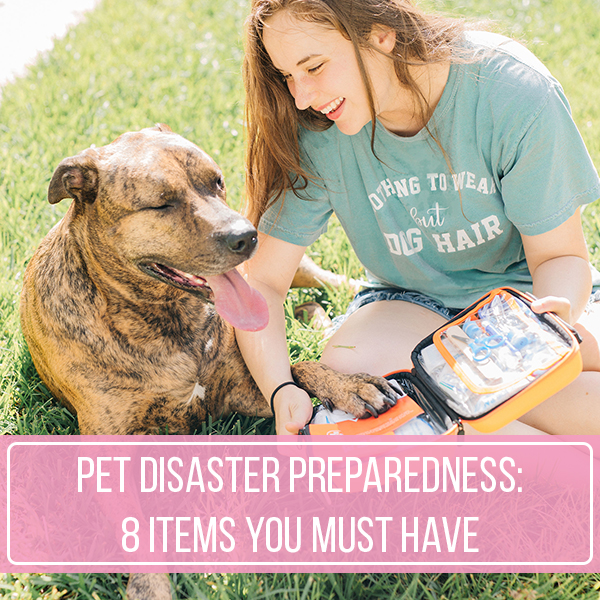 Pet Disaster Preparedness: 8 Items You Must Have