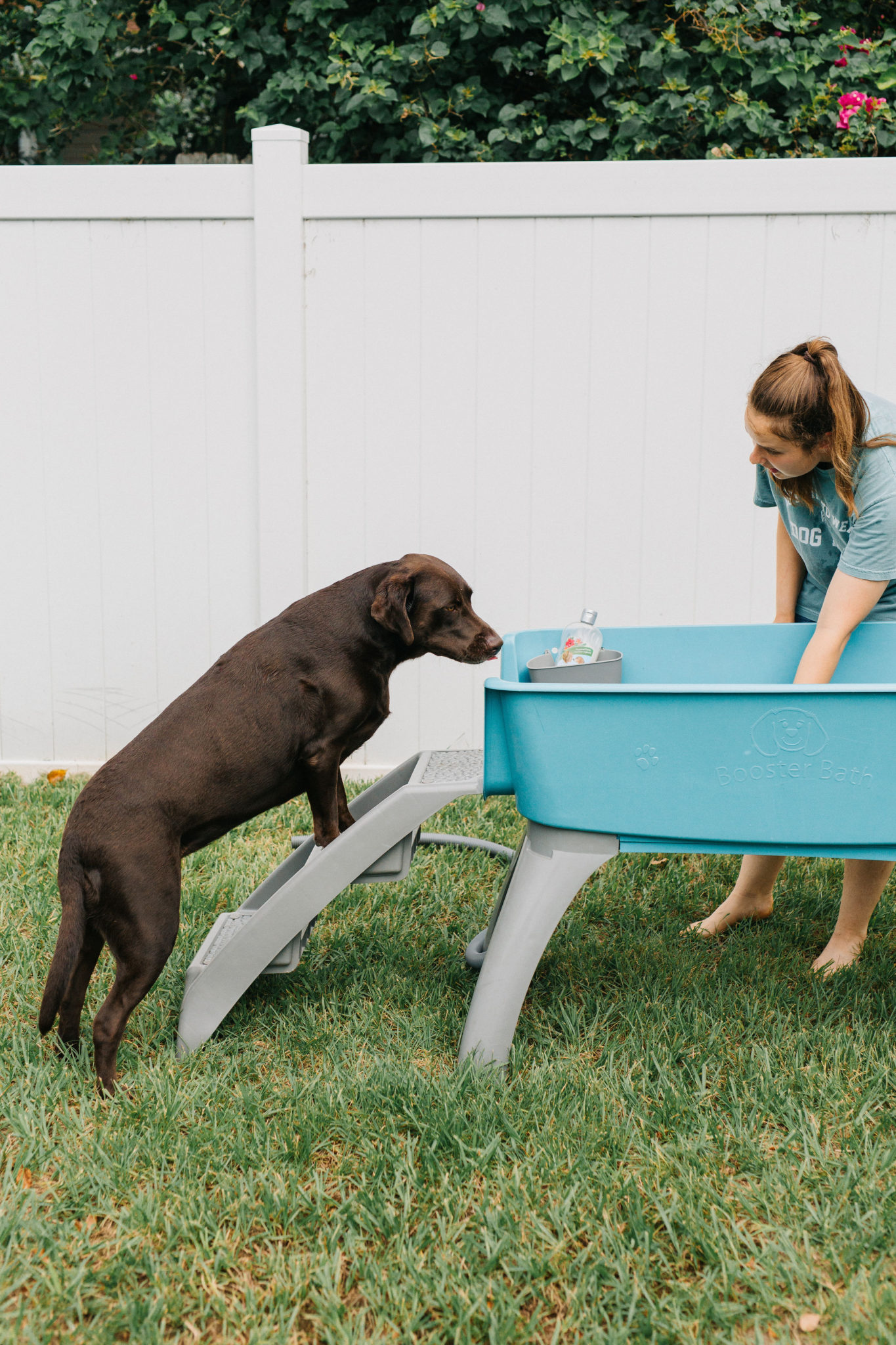 Booster Bath For Dogs Outdoor Dog Wash Station