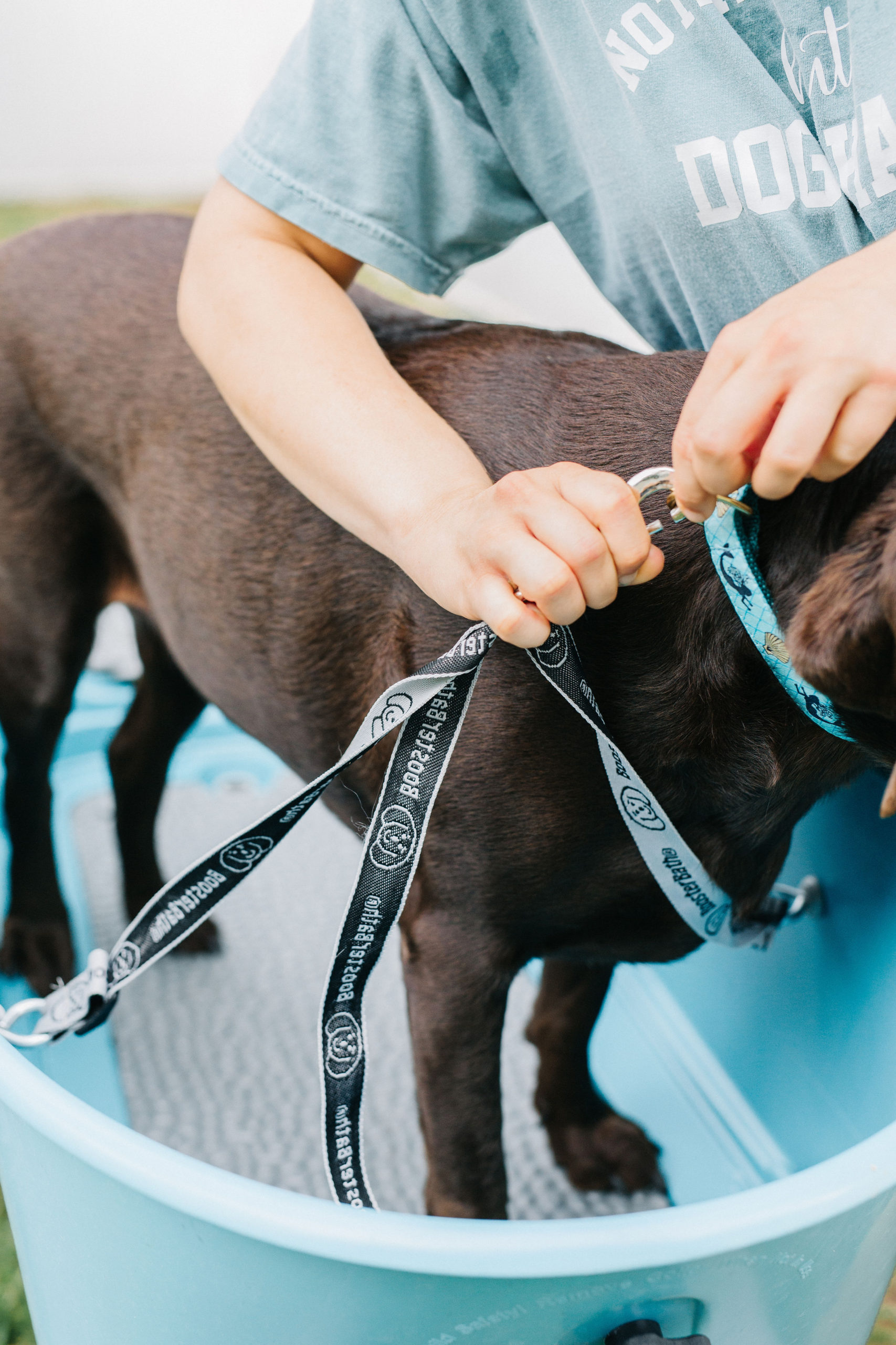 Booster Bath For Dogs Outdoor Dog Wash Station