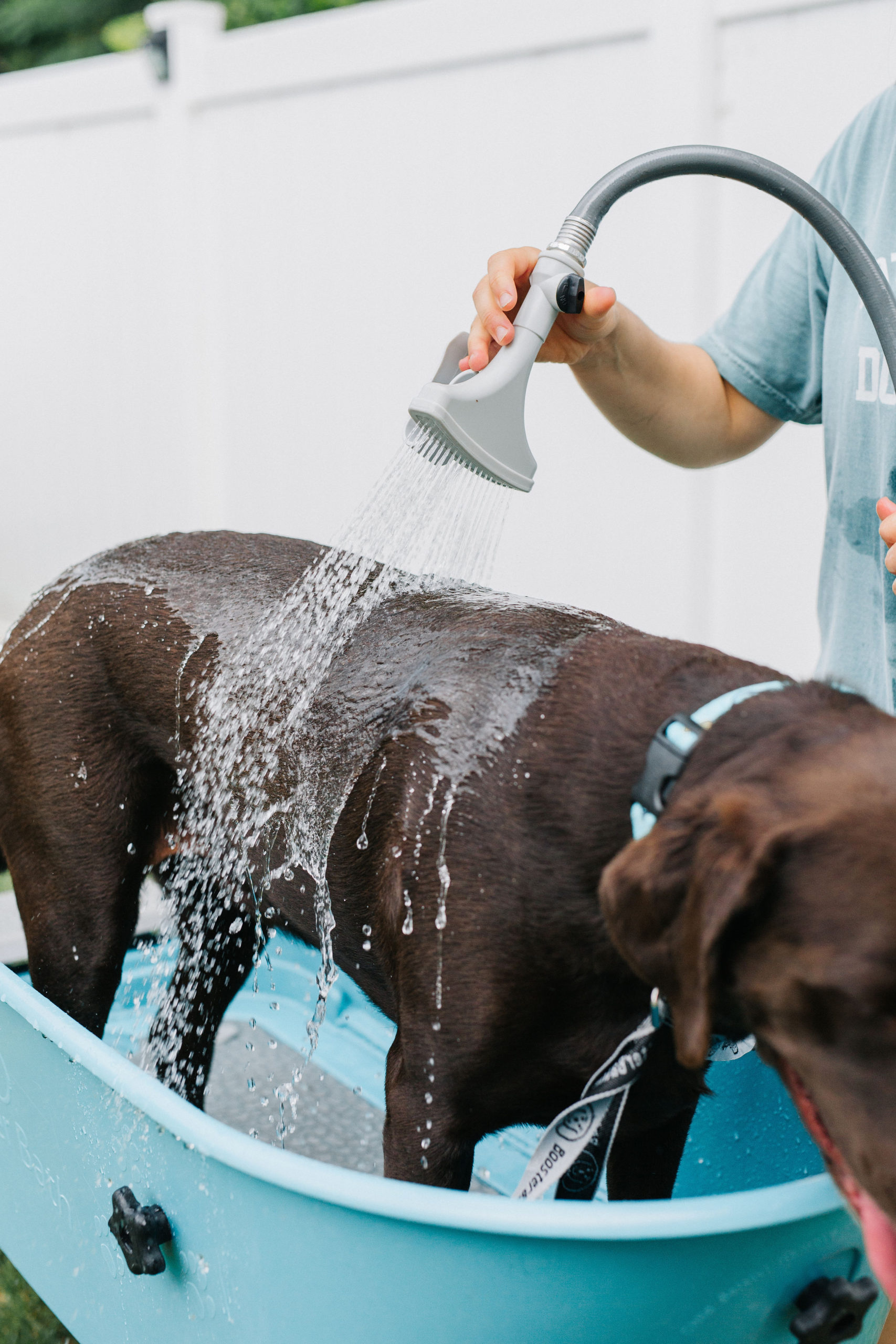 Booster Bath For Dogs: Outdoor Dog Wash Station