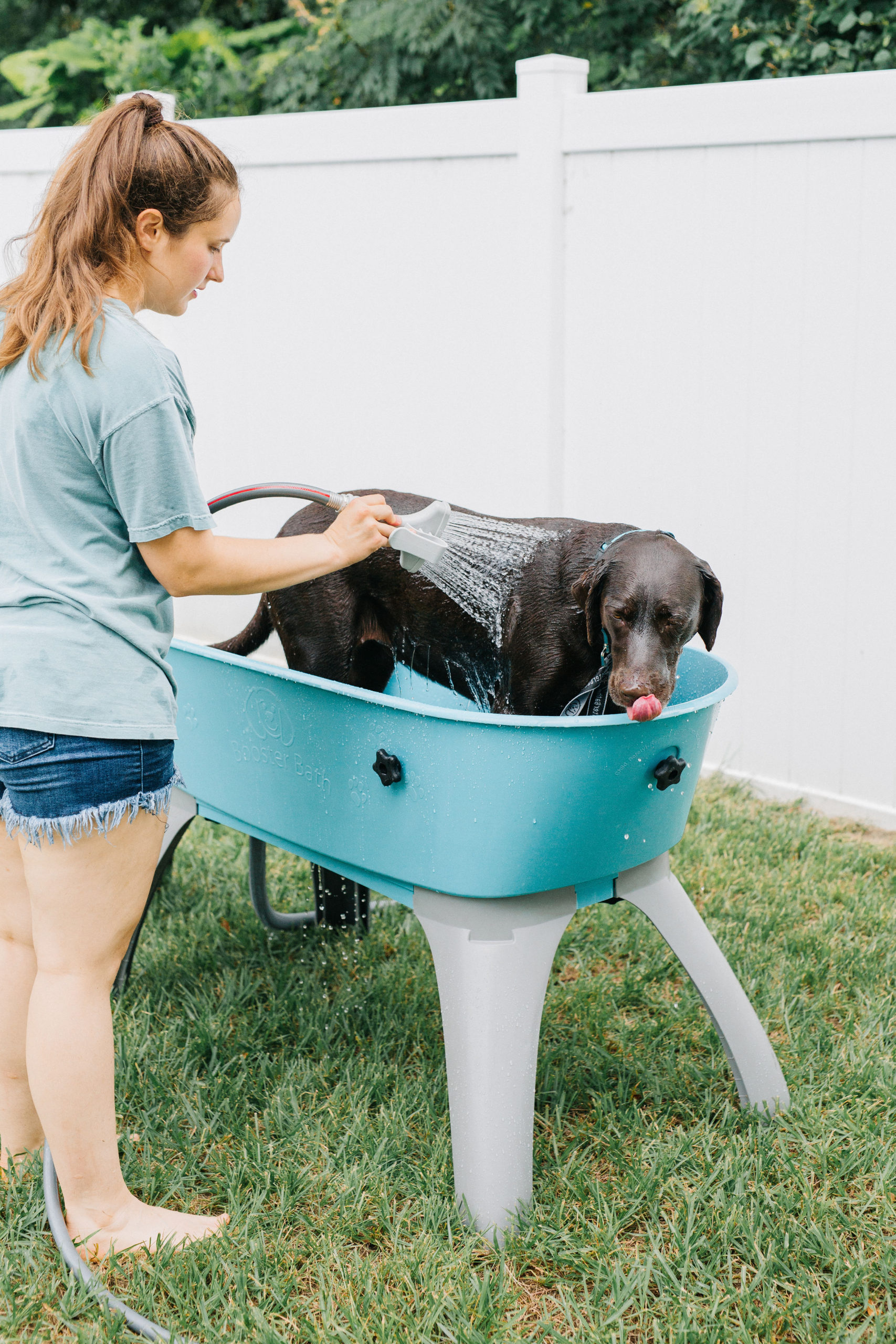 Booster Bath For Dogs Outdoor Dog Wash Station